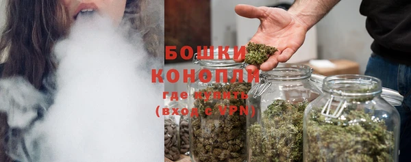 прущие крисы Заводоуковск