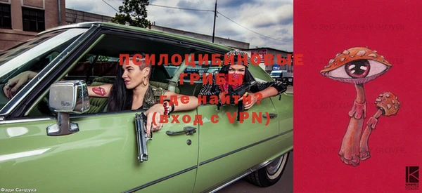 прущие крисы Заводоуковск
