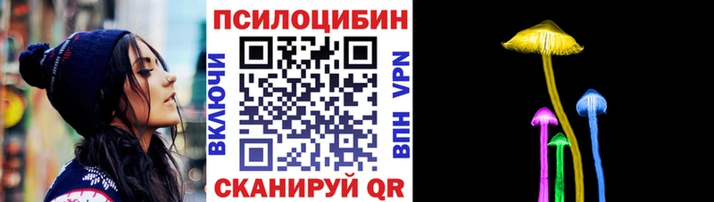 Купить закладки  Сергач  Галлюциногенные грибы Magic Shrooms 